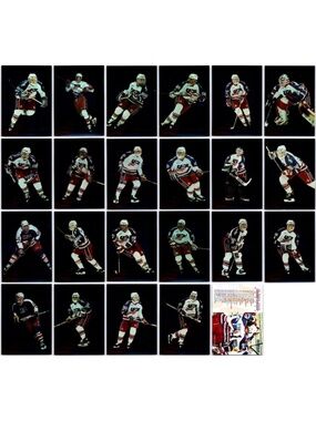 🇨🇦NOW $4🍀 Team USA Donruss 1993/94 Complete Insert Hockey Card Set